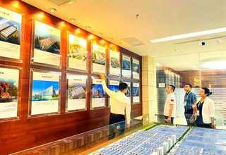 昭通万年琥珀价值