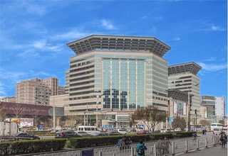 上海直销齿式离合器型号